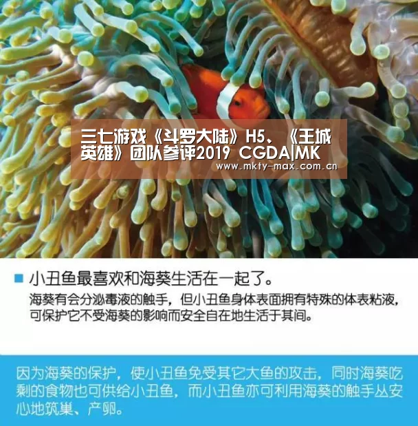 三七游戏《斗罗大陆》H5、《王城英雄》团队参评2019 CGDA|MK SPORT(图1) MK SPORT