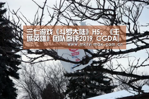 三七游戏《斗罗大陆》H5、《王城英雄》团队参评2019 CGDA|MK SPORT(图2) MK体育