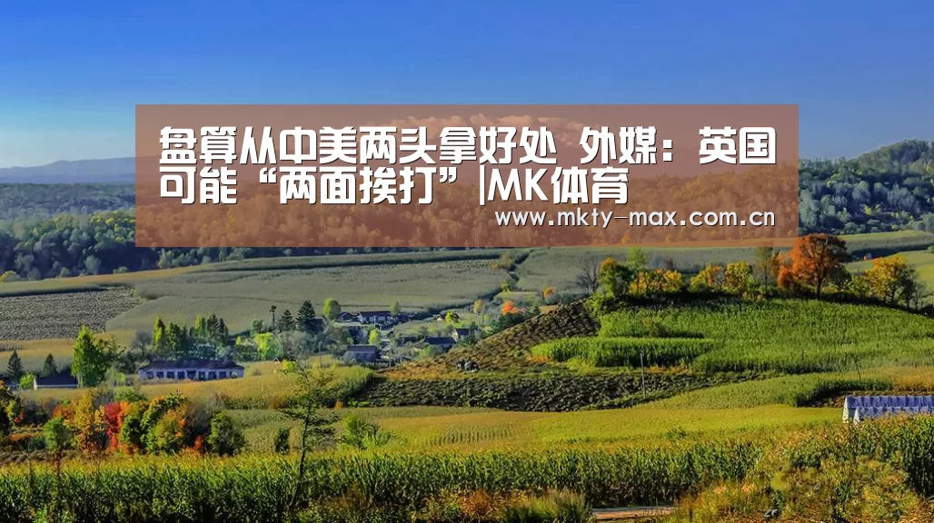 MK体育